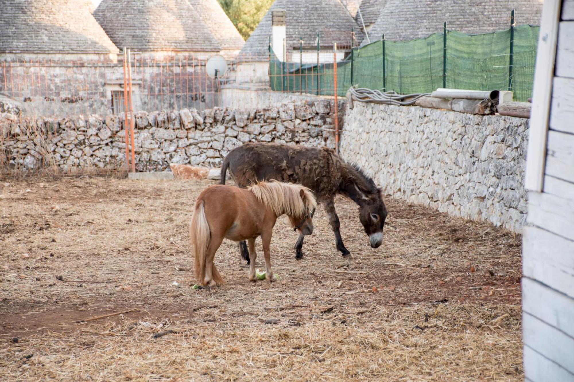 Trullo Cinquenoci Suite 로코로톤도 외부 사진